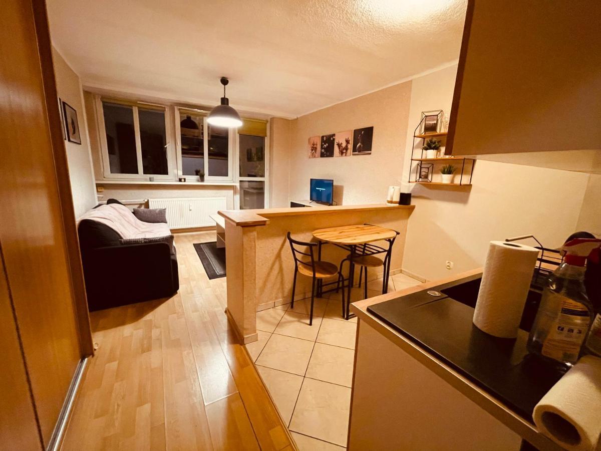 Apartamenty Ktw Park Slaski Luksusowy Prl Katowice Eksteriør billede